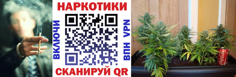 Купить КЕТАМИН  Меф  Псилоцибиновые грибы  Гашиш  КОКАИН  A-PVP  Канабис  Аша