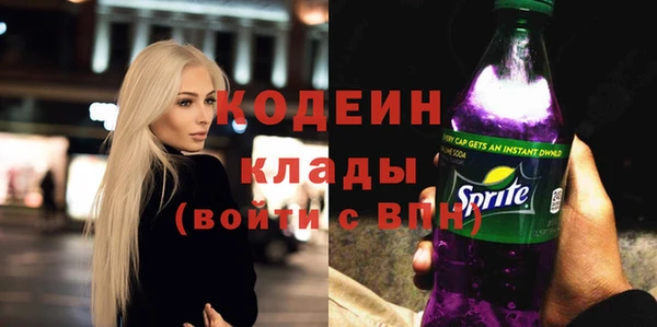 индика Балахна