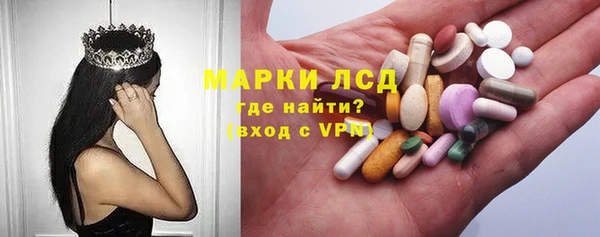 индика Балахна