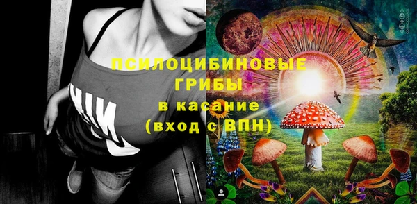 ПСИЛОЦИБИНОВЫЕ ГРИБЫ Тихорецк