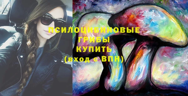 мяу мяу мука Баксан