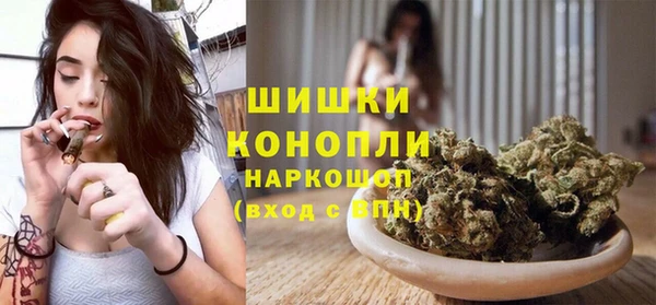 индика Балахна