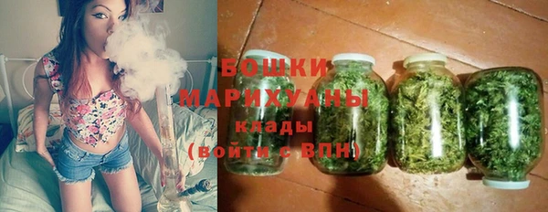 индика Балахна