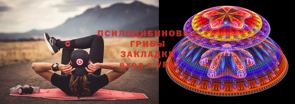 индика Балахна