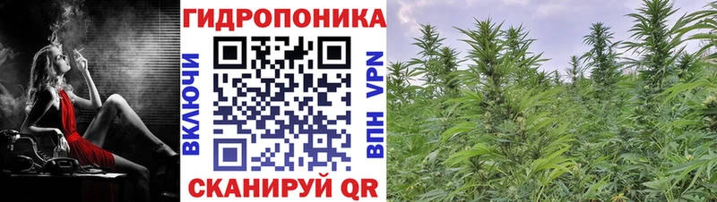 Каннабис индика  Купить где  Аша 